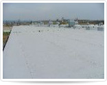 Foto 04
